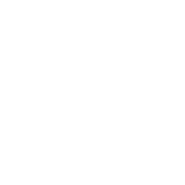 logo druidvisio